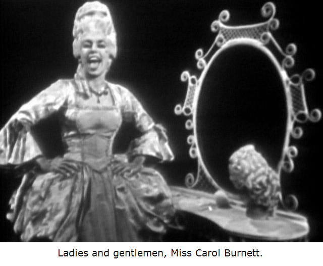 leonard bernstein's omnibus